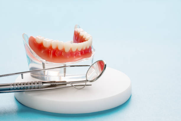 Trusted Coalfield, TN Holistic Dental Care Services Experts